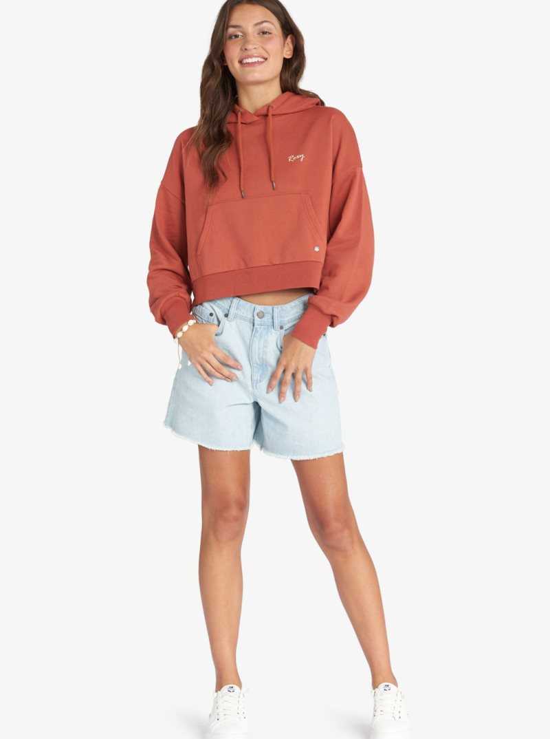 Baked Clay Roxy Afternoon Hike Pullover Hoodie | LSVKFM247