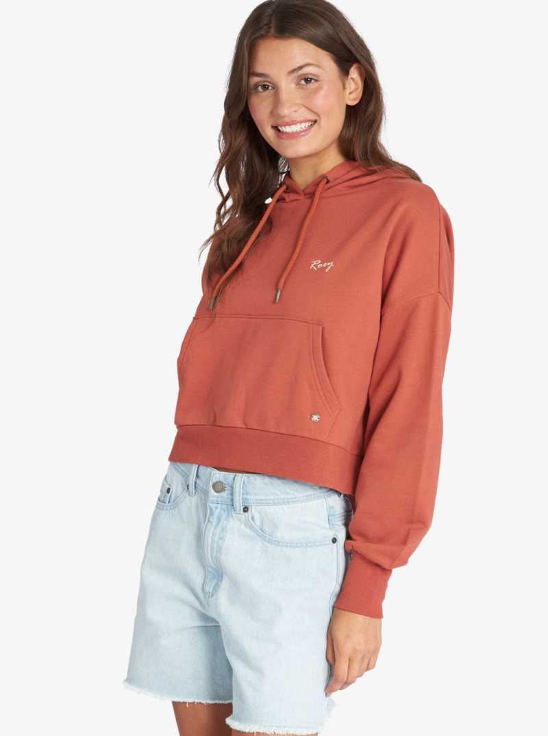 Baked Clay Roxy Afternoon Hike Pullover Hoodie | LSVKFM247