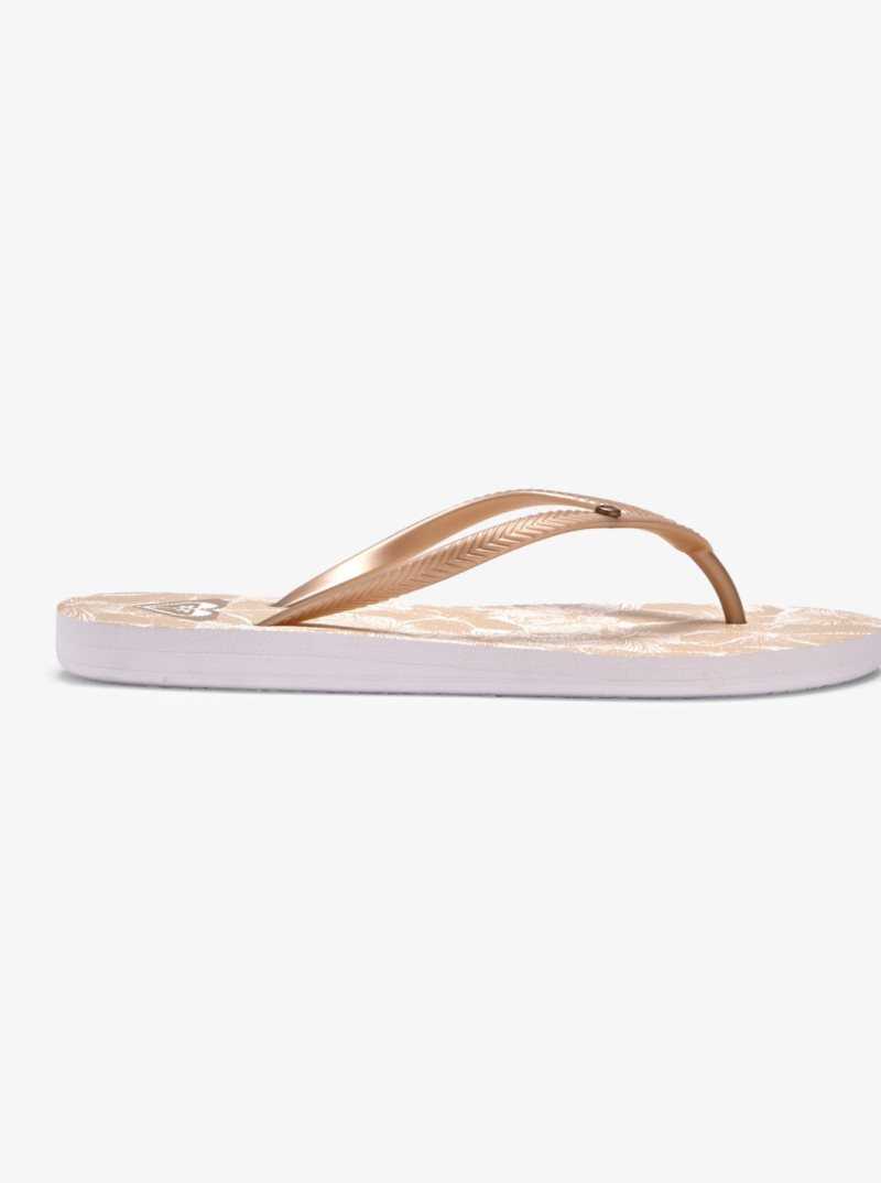 Beige/White Roxy Bermuda Sandals | DLKZOH896