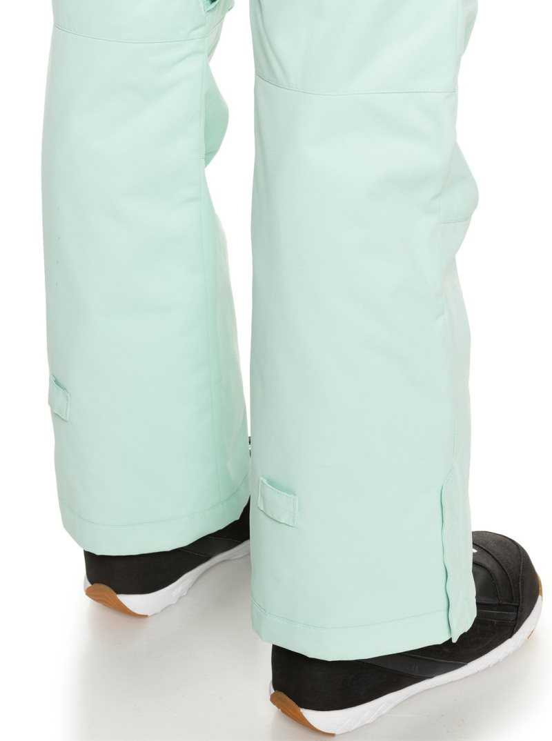 Fair Aqua Roxy Diversion Insulated Snow Pants | FISQHB219