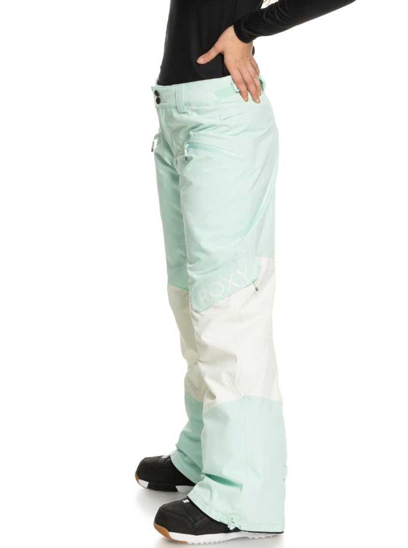 Fair Aqua Roxy Wood Rose Insulated Snow Pants | VHXQZJ315