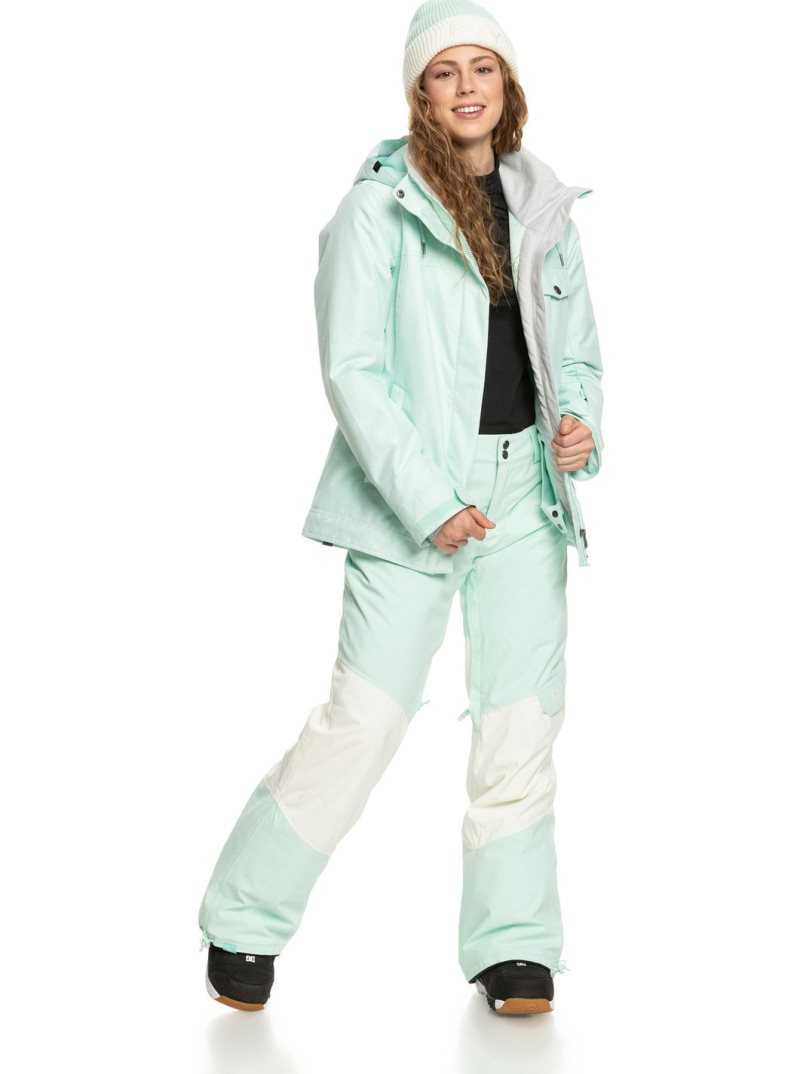 Fair Aqua Roxy Wood Rose Insulated Snow Pants | VHXQZJ315