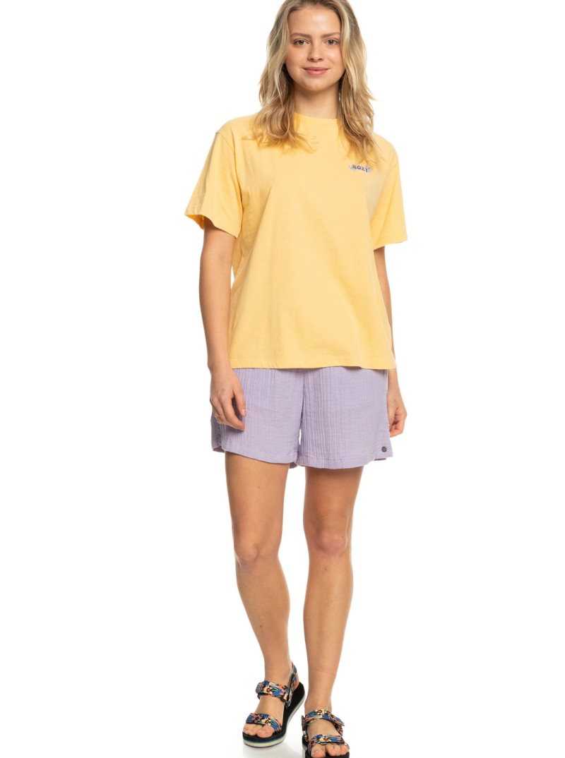 Flax Roxy Moonlight Sunset Oversized Boyfriend T-Shirt | ELVGQK512