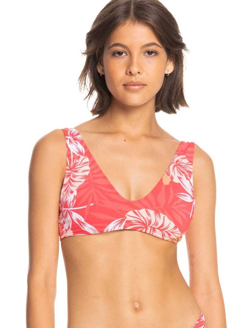 Hibiscus Seaside Tropics V1 S Roxy Seaside Tropics Bralette Bikini Top | EDLOZP037