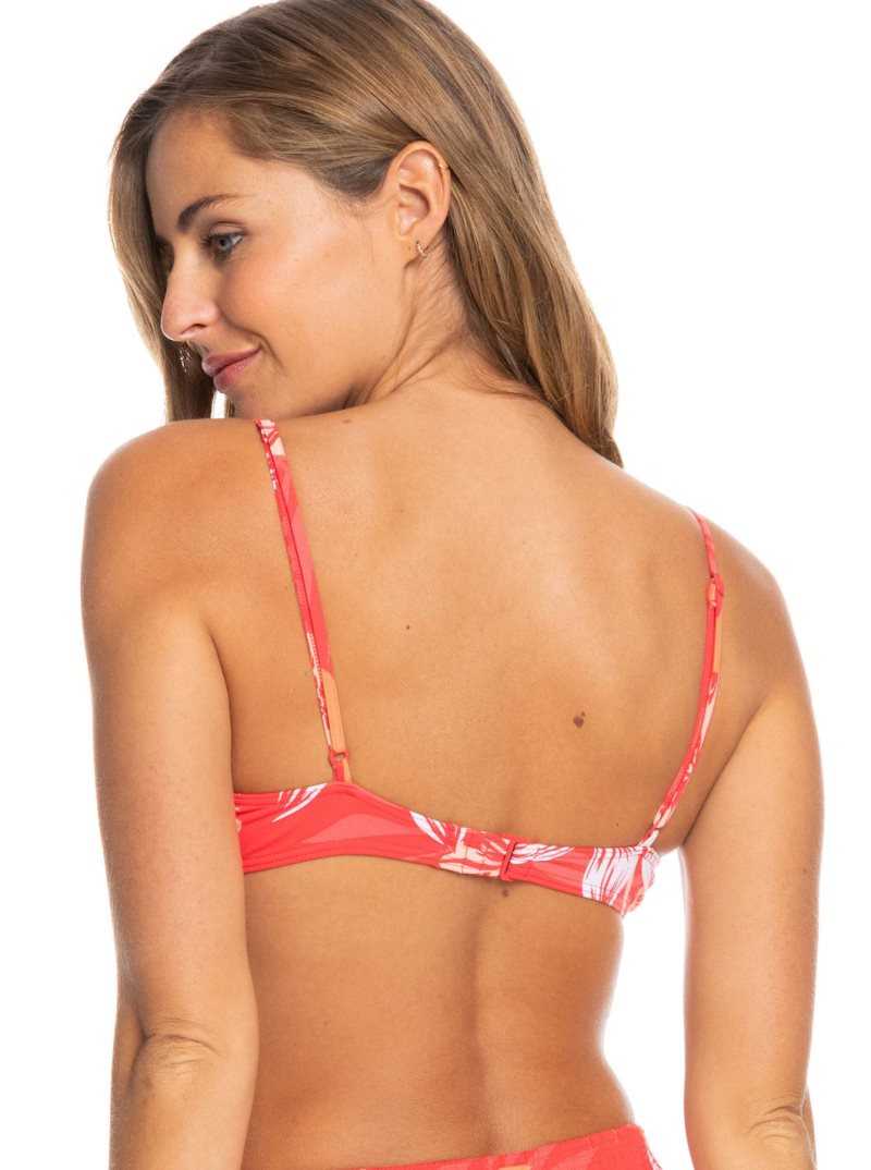 Hibiscus Seaside Tropics V1 S Roxy Seaside Tropics Underwired Bra Bikini Top | HPKZUF054