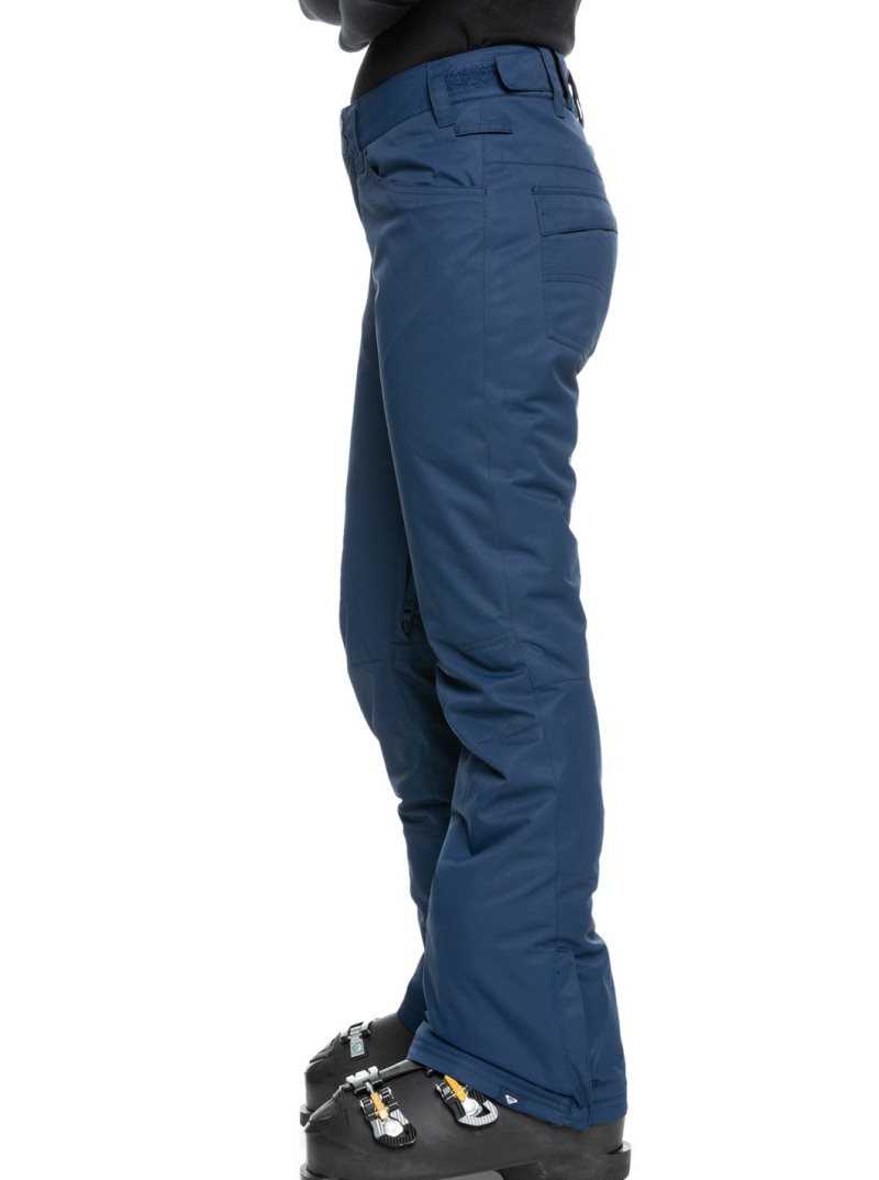 Medieval Blue Roxy Backyard Snow Pant | CUPBYV903