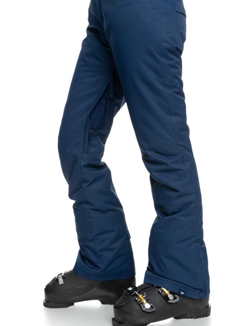 Medieval Blue Roxy Backyard Snow Pant | CUPBYV903