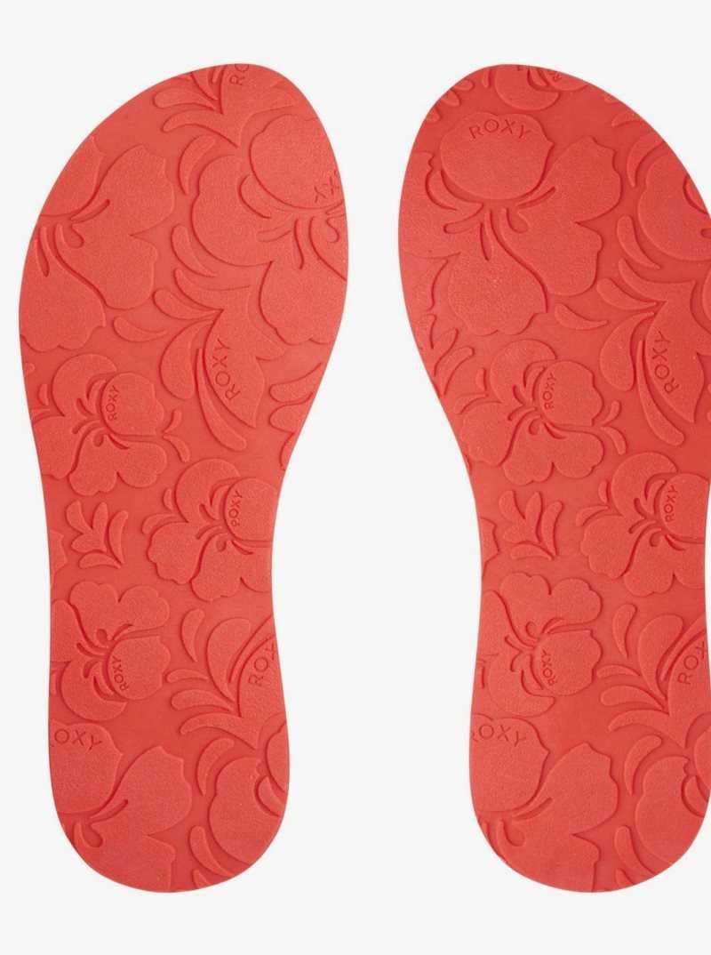 Multi Roxy Vista Flip-Flops | JBGYDV537