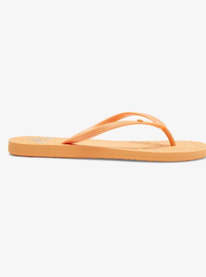 Orange Peel Roxy Antilles Sandals | PSEMNG861