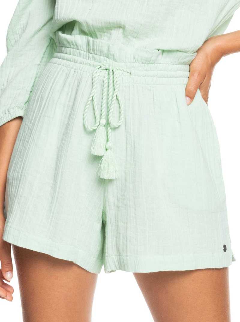 Pastel Green Roxy Pop Sun Elasticized Shorts | TFAOIJ318