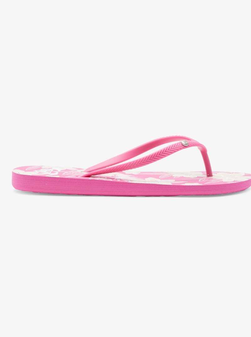 Pink Roxy Bermuda Sandals | VFWIXC047