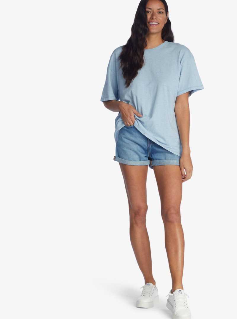 Powder Blue Roxy Surf Shadows Oversized T-Shirt | TOHIBZ046