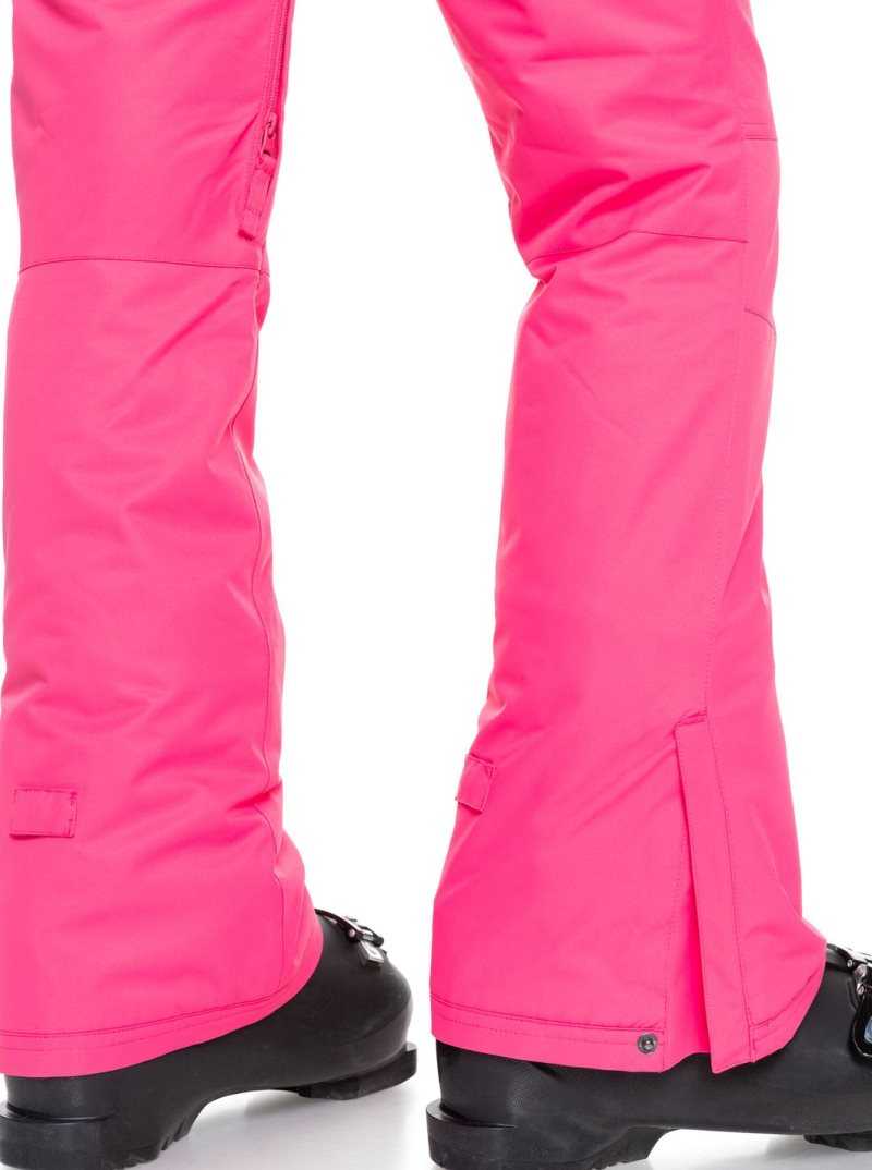 Shocking Pink Roxy Backyard Snow Pant | TWHFNB406