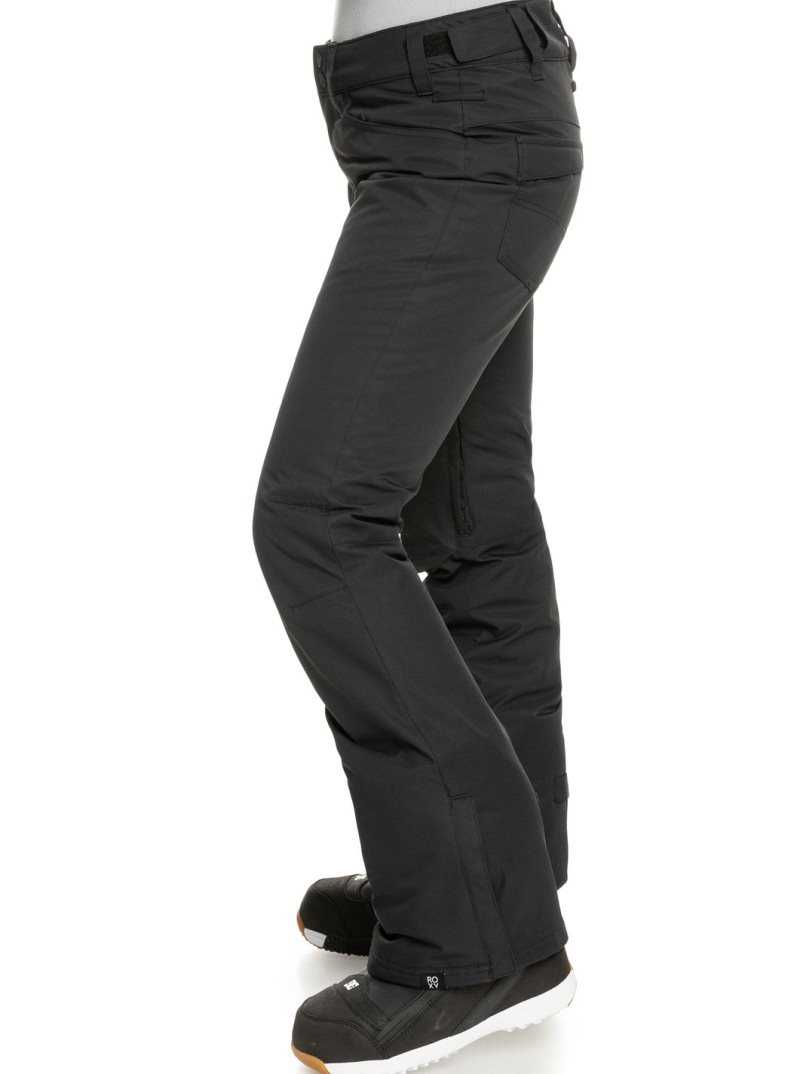 True Black Roxy Backyard Insulated Snow Pants | AGVSCX162