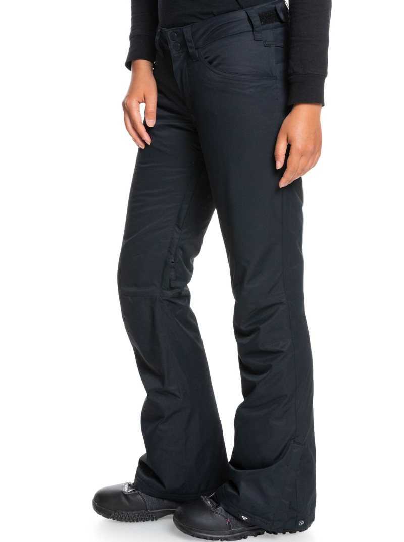 True Black Roxy Backyard Snow Pant | KPIOQJ861