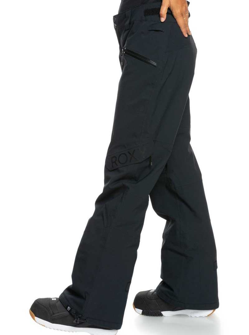 True Black Roxy Wood Rose Insulated Snow Pants | TBFMER873