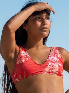 Hibiscus Seaside Tropics V1 S Roxy Seaside Tropics Bralette Bikini Top | EDLOZP037